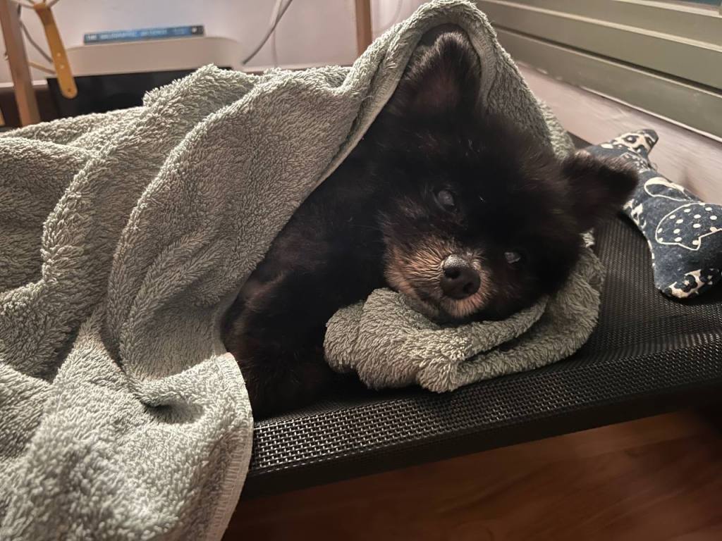 A Tribute Entry for a Loved&nbsp;One